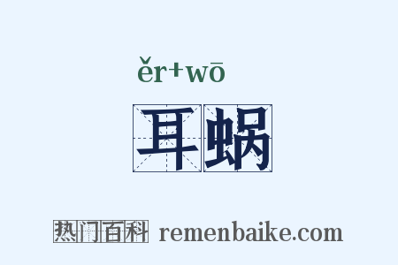 耳蜗是什么意思的图片